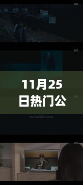 11月25日熱門公開視頻在線觀看，全面評(píng)測與介紹