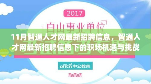 11月智通人才網(wǎng)最新招聘信息，職場機遇與挑戰(zhàn)一覽