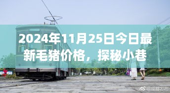 毛豬價(jià)格揭秘與小巷特色小店的幕后故事，2024年最新資訊，今日探秘之旅