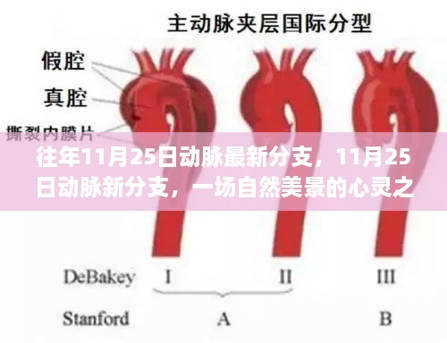 往年11月25日動脈最新分支，11月25日動脈新分支，一場自然美景的心靈之旅