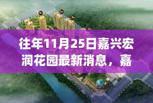 嘉興宏潤花園最新消息解讀，深度剖析三大要點回顧往年11月25日動態(tài)