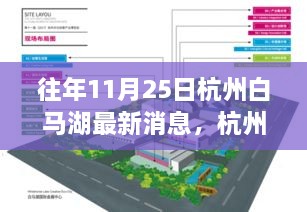 往年11月25日杭州白馬湖最新消息，杭州白馬湖，十一月二十五日的最新篇章