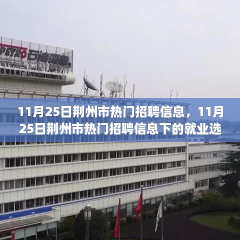 11月25日荊州市熱門招聘信息，11月25日荊州市熱門招聘信息下的就業(yè)選擇，機(jī)遇與挑戰(zhàn)并存