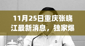 重慶張曉江最新動(dòng)態(tài)揭秘，11月25日獨(dú)家爆料，瞬間驚艷！