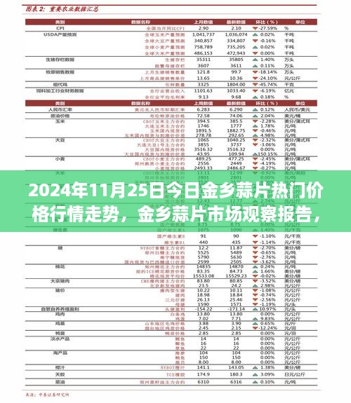 揭秘金鄉(xiāng)蒜片市場走勢，最新行情與熱門價格觀察報告（2024年11月25日）