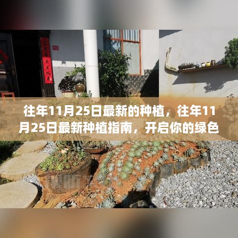 往年11月25日最新的種植，往年11月25日最新種植指南，開啟你的綠色生活之旅