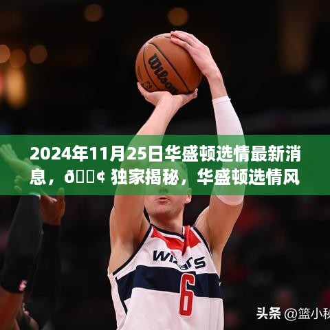 2024年11月25日華盛頓選情最新消息，?? 獨家揭秘，華盛頓選情風云變幻，最新消息一網打盡！?? 2024年11月25日選情深度解析