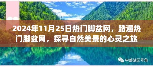 探尋自然美景的心靈之旅，熱門腳盆網(wǎng)之旅（2024年11月25日）