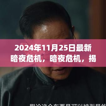 揭秘，2024年11月25日暗夜危機的背后故事與影響揭秘