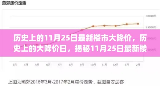 歷史上的11月25日最新樓市大降價，歷史上的大降價日，揭秘11月25日最新樓市降價真相