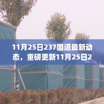 11月25日237國(guó)道最新動(dòng)態(tài)全解析，路況、施工及出行指南