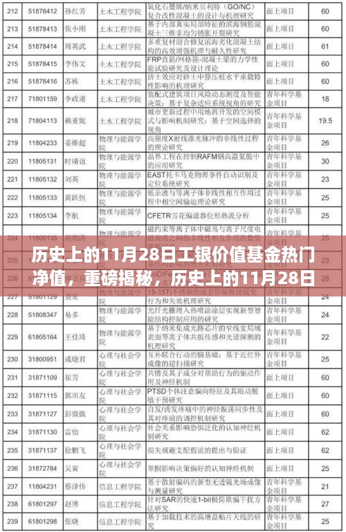 揭秘，歷史上的工銀價(jià)值基金凈值飆升背后的故事——聚焦11月28日熱門(mén)凈值日解密