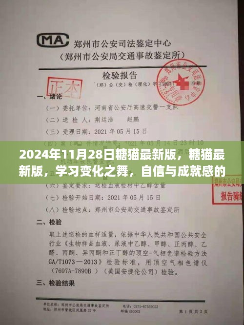 2024年11月28日糖貓最新版，糖貓最新版，學(xué)習(xí)變化之舞，自信與成就感的魔法之旅