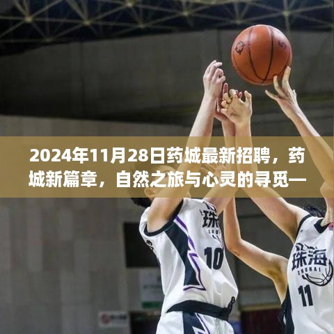 2024年11月28日藥城最新招聘，藥城新篇章，自然之旅與心靈的尋覓——2024年11月28日招聘之旅啟程啦！