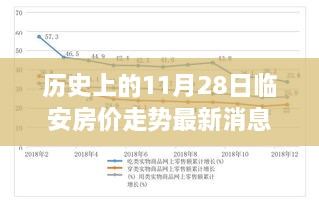 歷史上的11月28日臨安房價(jià)走勢深度解析，背景、事件與地位及其最新消息