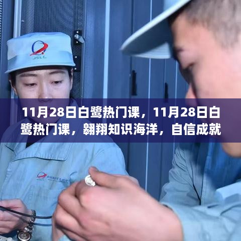 11月28日白鷺熱門課程，翱翔知識海洋，塑造自信未來夢想