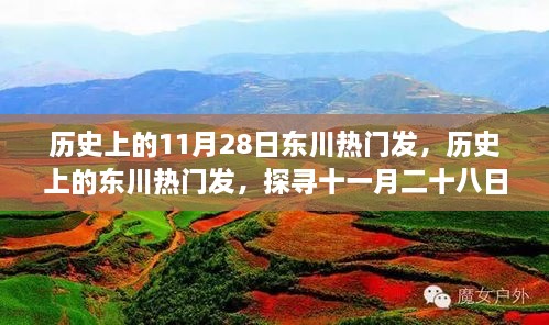 歷史上的11月28日東川熱門發(fā)，歷史上的東川熱門發(fā)，探尋十一月二十八日的輝煌印記