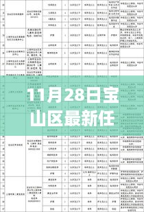 11月28日寶山區(qū)干部任免更新，流程詳解與操作指南