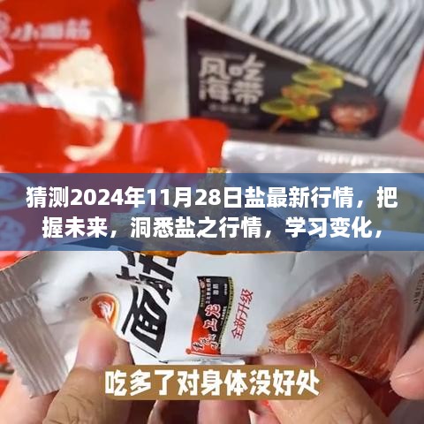 預測未來鹽行情，洞悉鹽之變化，把握機遇成就夢想