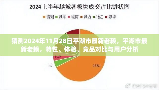 平湖市最新失信人員解析，特性、體驗(yàn)、競品對比與用戶洞察（預(yù)測至2024年11月）