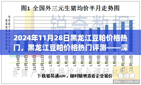 黑龍江豆粕價(jià)格熱門解析，深度剖析豆粕特性、用戶體驗(yàn)與目標(biāo)用戶群體分析報(bào)告