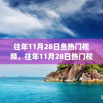 往年11月28日熱門視頻中的魚躍現(xiàn)象，深度解析與觀點(diǎn)闡述