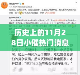 歷史上的11月28日，小催熱門消息回顧