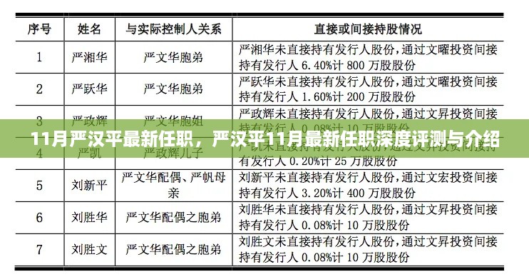 嚴漢平最新任職深度解析與介紹，揭秘其11月新職務的機遇與挑戰(zhàn)