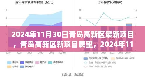 青島高新區(qū)新項(xiàng)目展望，機(jī)遇與挑戰(zhàn)并存，聚焦未來(lái)創(chuàng)新機(jī)遇（2024年11月30日）