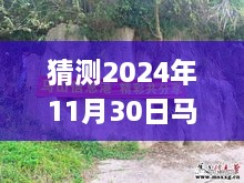 揭秘未來，馬山縣石豐村2024年11月30日最新動態(tài)展望指南