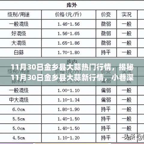 揭秘金鄉(xiāng)縣大蒜最新行情，小巷深處的獨(dú)特風(fēng)味大蒜（11月30日）