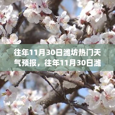 濰坊往年11月30日天氣預(yù)報(bào)回顧與旅行建議，氣象分析與建議