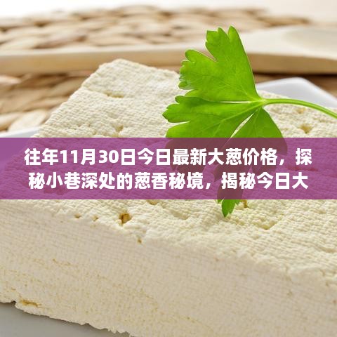 探秘小巷深處的蔥香秘境，揭秘往年今日最新大蔥價(jià)格背后的故事