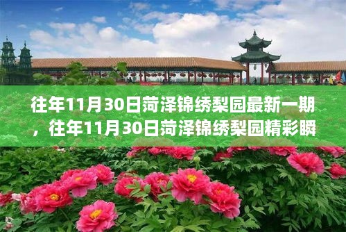 菏澤錦繡梨園，傳統(tǒng)戲曲魅力之旅的精彩瞬間探索