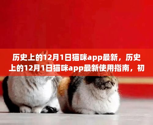 歷史上的12月1日貓咪app最新，歷史上的12月1日貓咪app最新使用指南，初學(xué)者與進(jìn)階用戶的全面教程