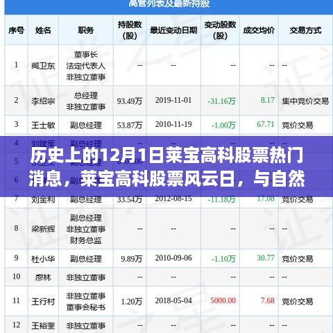 歷史上的12月1日萊寶高科股票熱門消息，萊寶高科股票風云日，與自然美景的奇妙邂逅，心靈旅行的啟程時刻