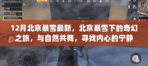 北京暴雪下的奇幻之旅，與自然共舞，探尋內(nèi)心寧靜的旅程