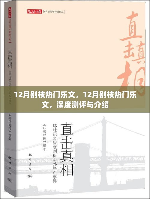 深度測(cè)評(píng)與介紹，12月別枝熱門樂文