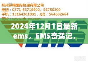 EMS奇遇記，快遞背后的溫暖故事揭秘，2024年12月最新篇章