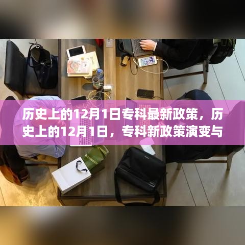 歷史上的12月1日，專科新政策演變與展望