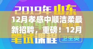 孝感中順潔柔12月最新招聘啟事，職場新星挑戰(zhàn)，崗位空缺等你來填補(bǔ)