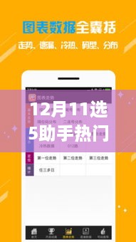 12月11選5助手熱門版，誕生、發(fā)展與時代影響力的回顧