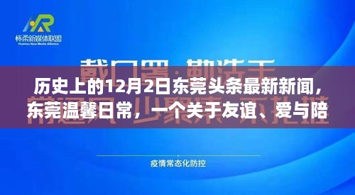 東莞頭條新聞，友誼與愛在冬日綻放——十二月二日的溫馨日常故事