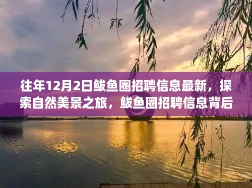 揭秘鲅魚圈招聘信息背后的自然美景之旅，寧靜秘境等你來探索