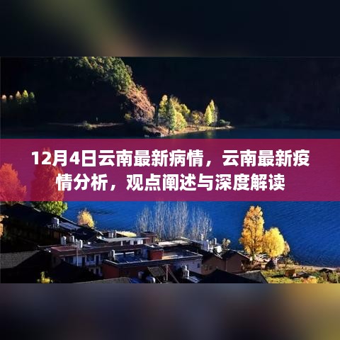 云南疫情最新動態(tài)，深度解讀與分析報告（12月4日更新）