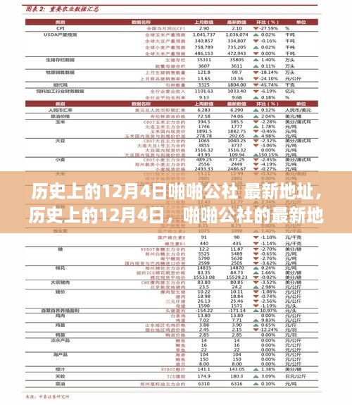 歷史上的12月4日，啪啪公社的最新地址及其背后的故事揭秘（科普文章）