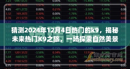 揭秘未來熱門K9之旅，啟程于2024年12月4日的自然美景探索之旅