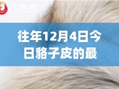 12月4日貉子皮最新價格及歷年趨勢解析，市場動態(tài)一覽