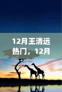 追尋自然之旅，王清遠(yuǎn)在十二月的腳步與心靈之旅