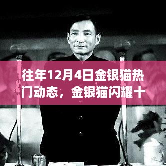 歷年金銀貓閃耀十二月，深度回顧歷年12月4日的熱門動態(tài)